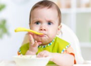 8 Rekomendasi MPASI Sehat untuk Si Kecil