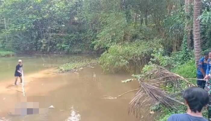 Warga Sagaranten Diguncang Misteri Mayat Nenek di Kolam Rawa