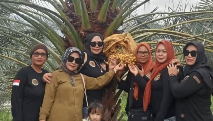 Divisi Teja Arum Sambangi Kebun Kurma Viral