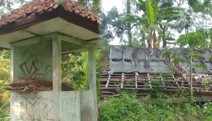 Curug Cigangsa di Surade Kini Terlantar, Padahal Punya Potensi Wisata Besar