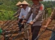 Kapolres Sukabumi AKBP Dr. Samian Dorong Swasembada Jagung Lewat Program Ketahanan Pangan di Desa Sukasirna