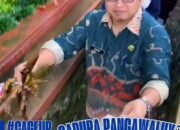 SMAN 1 Surade Gelar Program PALISADE, Wujudkan Lingkungan Bersih dan Berkarakter