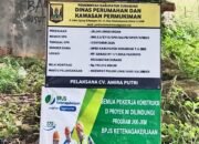Disperkim Realisasikan Pembangunan Jalan Lingkungan di Desa Pasiripis