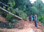 longsor Tutupi Akses Jalan Taman-Jaya Cigaru, Petugas dan Warga Bahu Membahu Lakukan