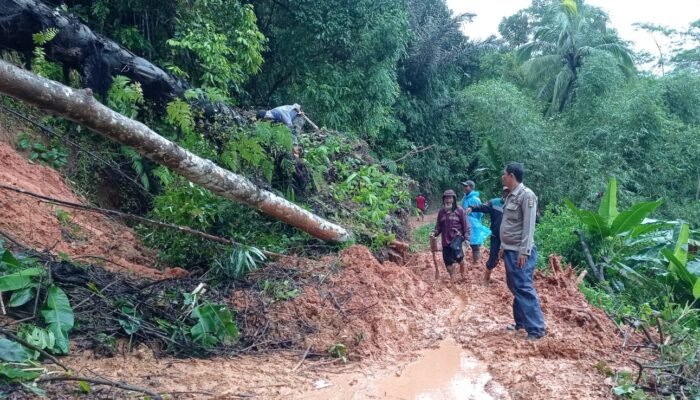 longsor Tutupi Akses Jalan Taman-Jaya Cigaru, Petugas dan Warga Bahu Membahu Lakukan