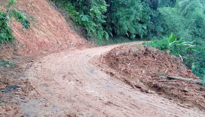 Akses Jalan Tamanjaya–Cigaru di Ciemas Kembali Normal Usai Longsor Dievakuasi