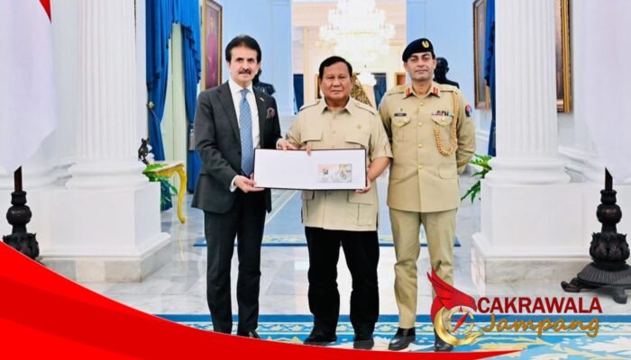 Preseden Prabowo Terima Duta Besar Pakistan, Bahas Penguatan Kerja Sama Strategis Indonesia-Pakistan