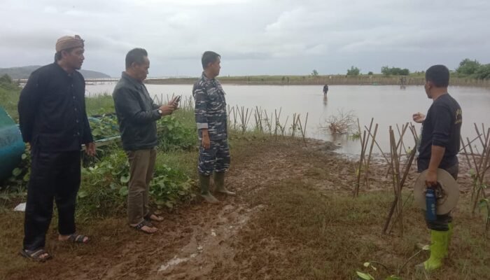 Lanal Bandung Bersama DKP Jabar Gerakkan Penanaman 50 Ribu Mangrove di Ciemas Sukabumi