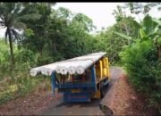 Warga Cimandala Harapkan Ada Jaringan Listrik Tegangan Menengah