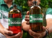 Bobibos, Inovasi Bahan Bakar dari Jerami Karya Anak Bangsa Siap Diuji untuk Produksi Massal