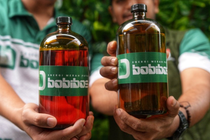 Bobibos, Inovasi Bahan Bakar dari Jerami Karya Anak Bangsa Siap Diuji untuk Produksi Massal - karbonatjampangnews.com