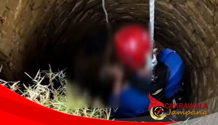Kapolsek Jampangkulon: Korban Tak Menyadari Ada Septic Tank di Halaman