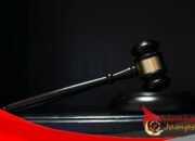 Kakek 71 Tahun Dituntut 2 Tahun Penjara karena Tangkap Burung Cendet di Kawasan Konservasi