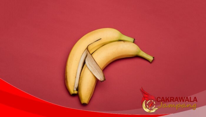 Oknum Guru Diduga Lakukan Tindakan Tidak Senonoh di Toilet Masjid, Polisi Masih Dalami Kasus