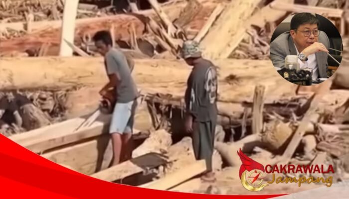DPR Soroti Pemanfaatan Kayu Gelondongan Sisa Banjir di Sumatera
