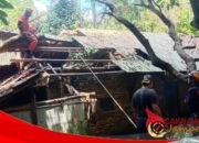 Angin Kencang Terjang Cibadak, Rumah Warga Karangtengah Rusak Tertimpa Pohon Suren