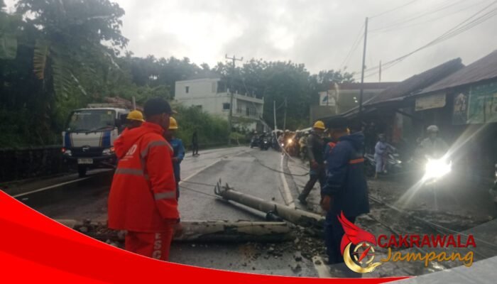 Hujan Deras Picu Pohon dan Tiang Listrik Tumbang di Loji, Lalin Sempat Macet