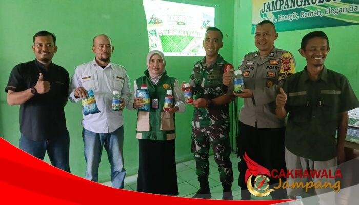 Petani Jampangkulon Rasakan Dampak Swasembada Pangan, BPP Dorong Harga Gabah dan Serapan Bulog