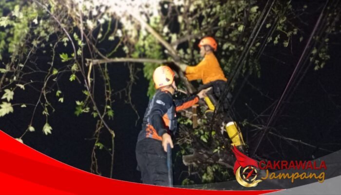 Hujan Disertai Angin Kencang, Pohon Kersen Tumbang di Citamiang Sukabumi