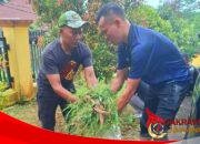 Jumat Bersih di Jampangkulon, Camat Pimpin Langsung Aksi Gotong Royong Jaga Lingkungan