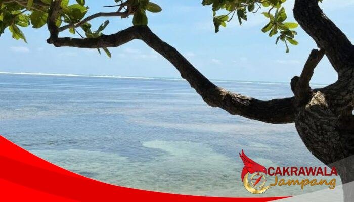 Pantai Tenda Biru Ujunggenteng, Harmoni Laut dan Hutan di Selatan Sukabumi