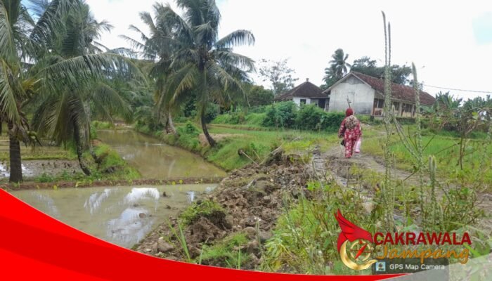 Hujan Berhari-hari, TPT Jalan Usaha Tani di Surade Sukabumi Ambruk