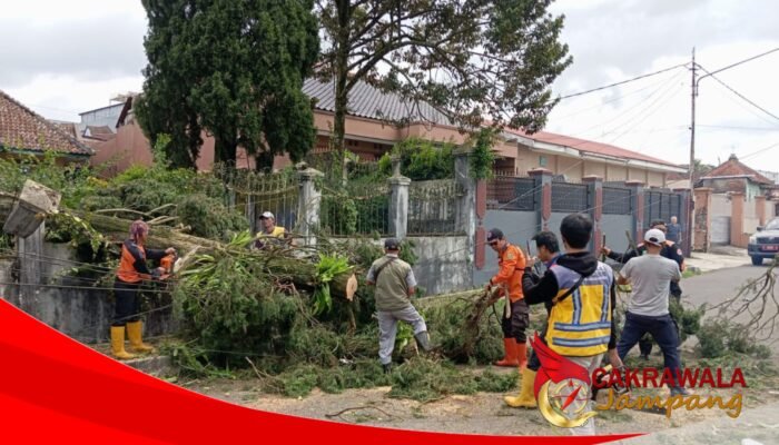 BPBD Kota Sukabumi Ingatkan Bahaya Pohon Tumbang Sebab Angin Kencang