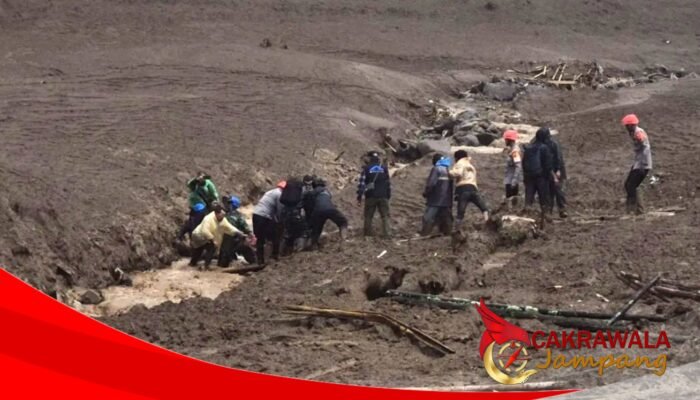Longsor di Cisarua KBB Tewaskan 7 Orang, 83 Warga Masih Dalam Pencarian