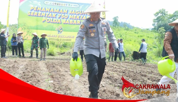 Dukung Program Ketahanan Pangan, Polres Sukabumi Berikan Bantuan Bibit Jagung dan Pupuk Kepada Poktan