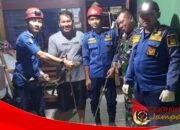 Biawak Masuk Dapur Rumah Warga, Damkar Surade Lakukan Evakuasi Cepat