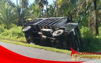 Diduga Sopir Melamun, Truk Minuman Terguling di Perkebunan Kelapa Ciracap