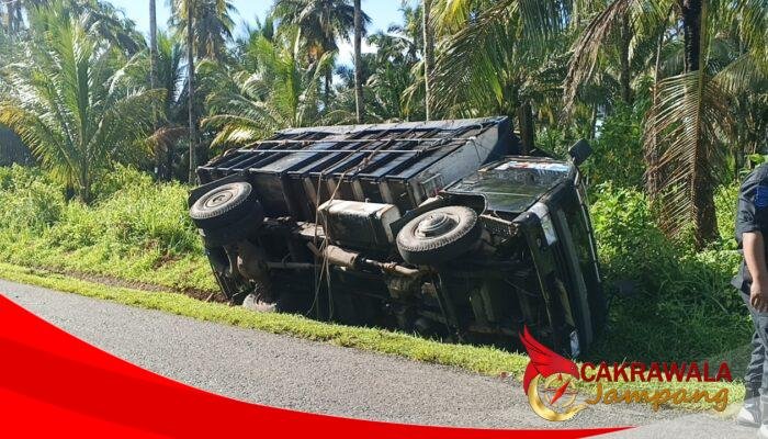 Diduga Sopir Melamun, Truk Minuman Terguling di Perkebunan Kelapa Ciracap