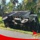 Diduga Sopir Melamun, Truk Minuman Terguling di Perkebunan Kelapa Ciracap
