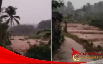 Kecamatan Cikidang Diterjang Banjir Bandang, 20 Rumah Teredam Lumpur